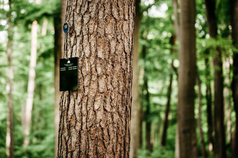 Terra Levis Grabschild Waldfriedhöfe Wiesbaden